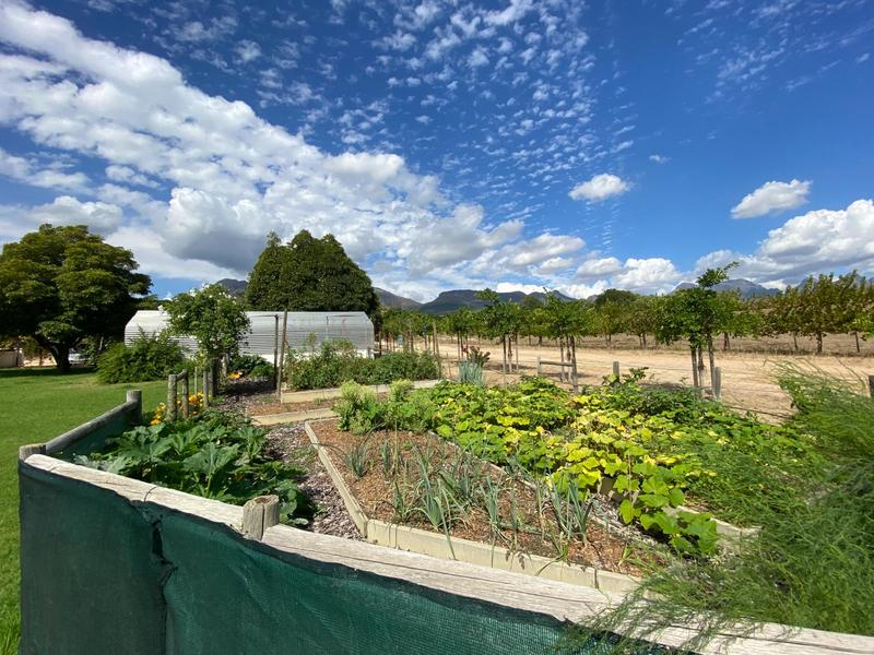 14 Bedroom Property for Sale in Paarl Western Cape